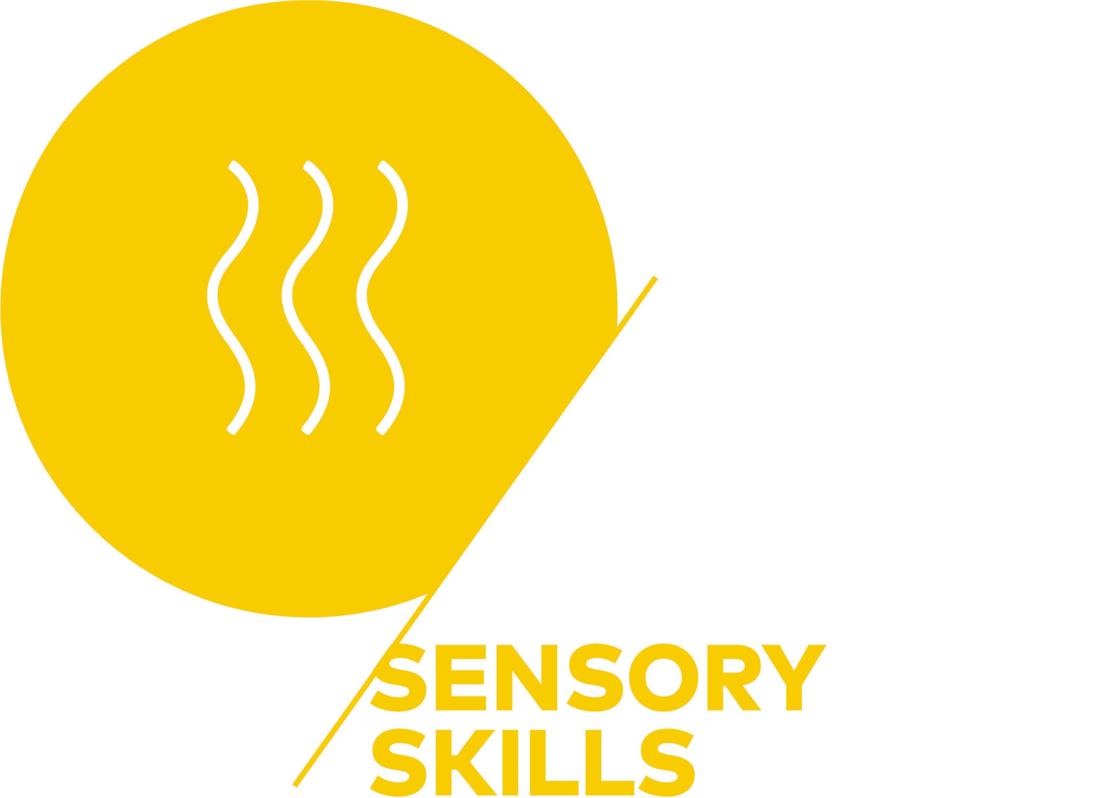 Sensory Skills